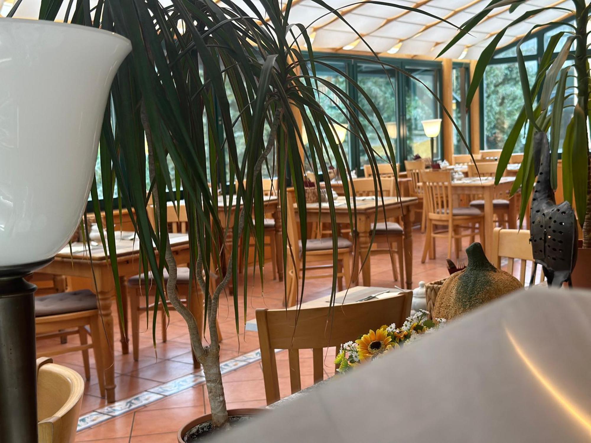 Landhotel Harz Thale Buitenkant foto