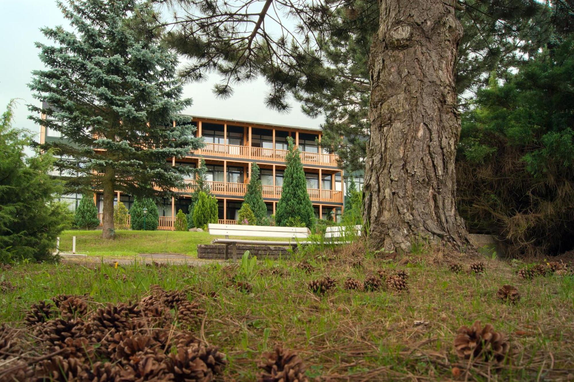 Landhotel Harz Thale Buitenkant foto