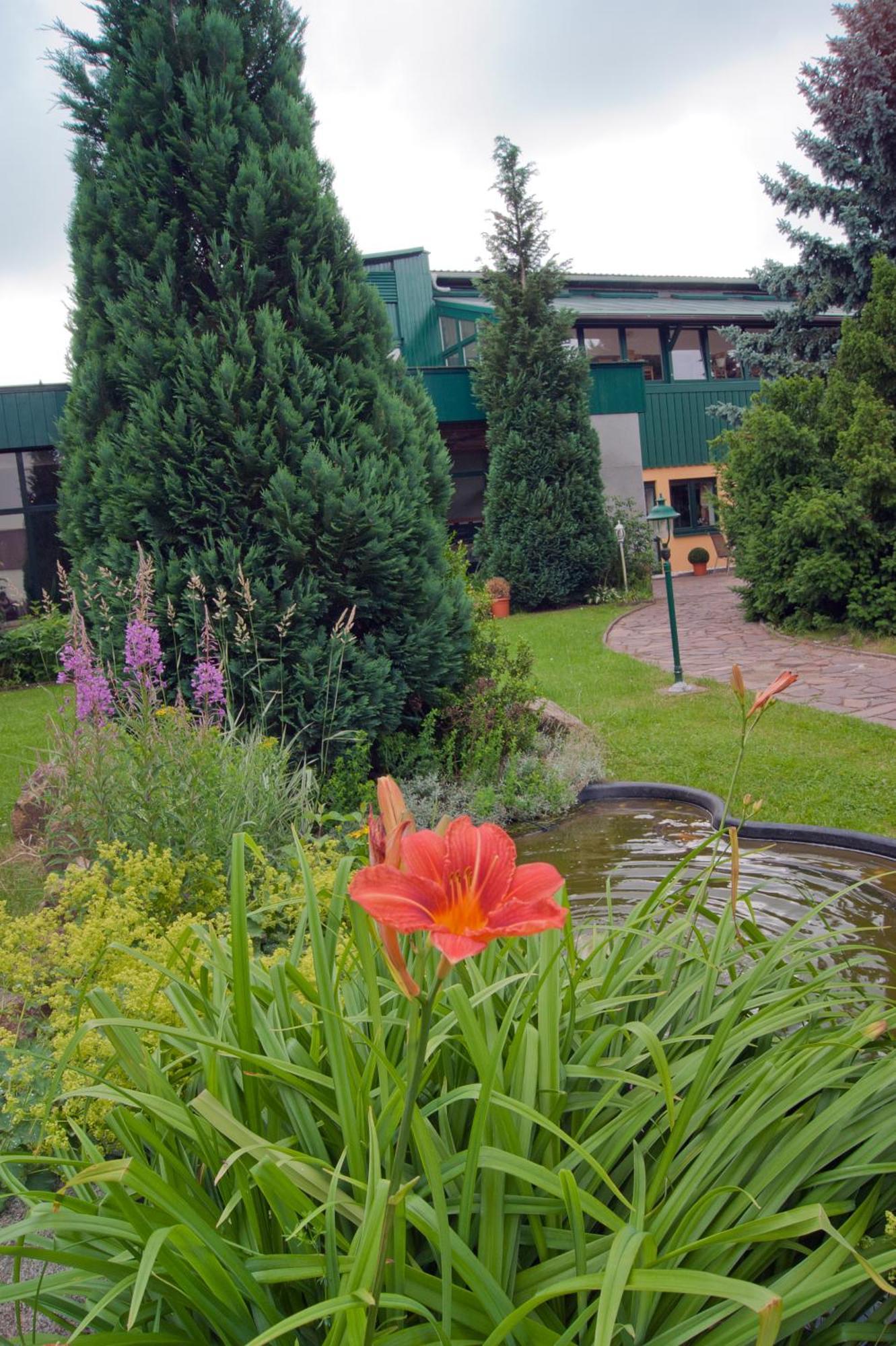 Landhotel Harz Thale Buitenkant foto